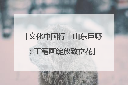 文化中国行丨山东巨野：工笔画绽放致富花